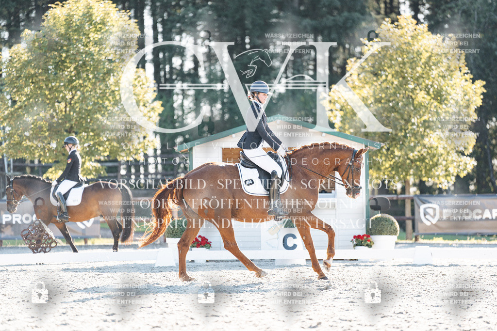 CK906993 | Turnierfotografie Pferdefotografie Trier Rheinland-Pfalz Pferdesport Reitsport Tierfotografie Sportfotografie Pferdevideo Pferdevideografie Equestrianvideography equestrianphotography  - Realisiert mit Pictrs.com