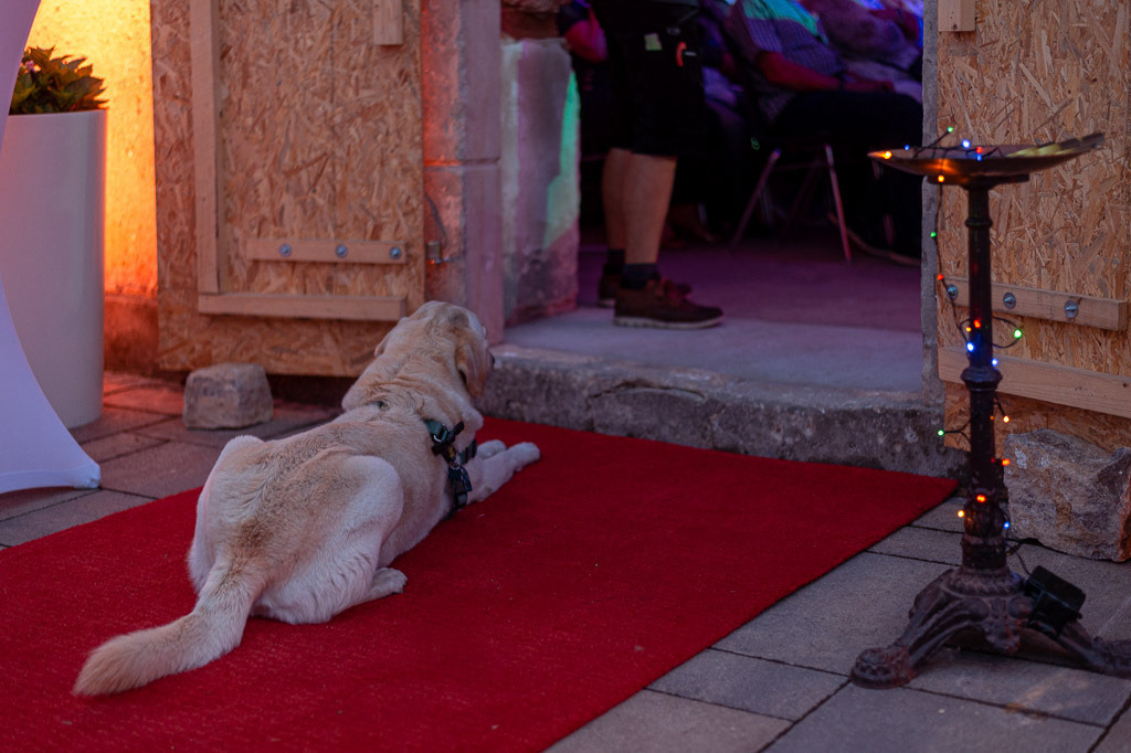 Habana Tradicional | Habana Tradicional im Forte Belvedere Leisnig zum Festival Hallo Leisnig 2022. - Realisiert mit Pictrs.com