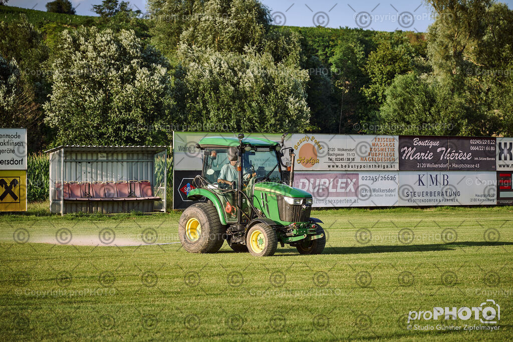 202507_Rernböck-Rasen_NZ9_1351 | proPHOTO - Realisiert mit Pictrs.com