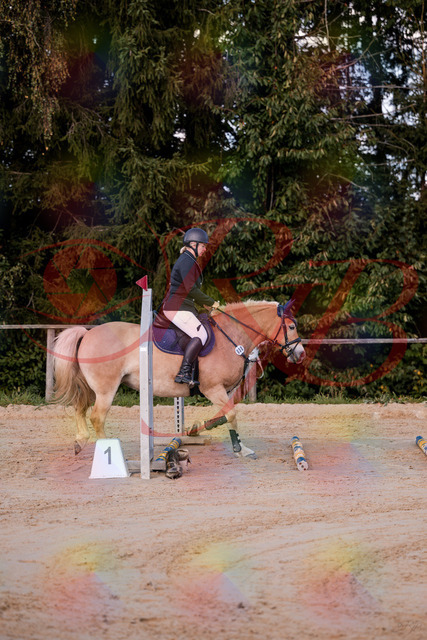 2026_10_03_Siefer-Hof_145226_Z81_31295206 | Professionelle Reitsport-, Turnier- und Eventfotografie von Robert Broda. Galerien mit ausgewählten und bearbeiteten Bildern direkt online ansehen und bestellen.