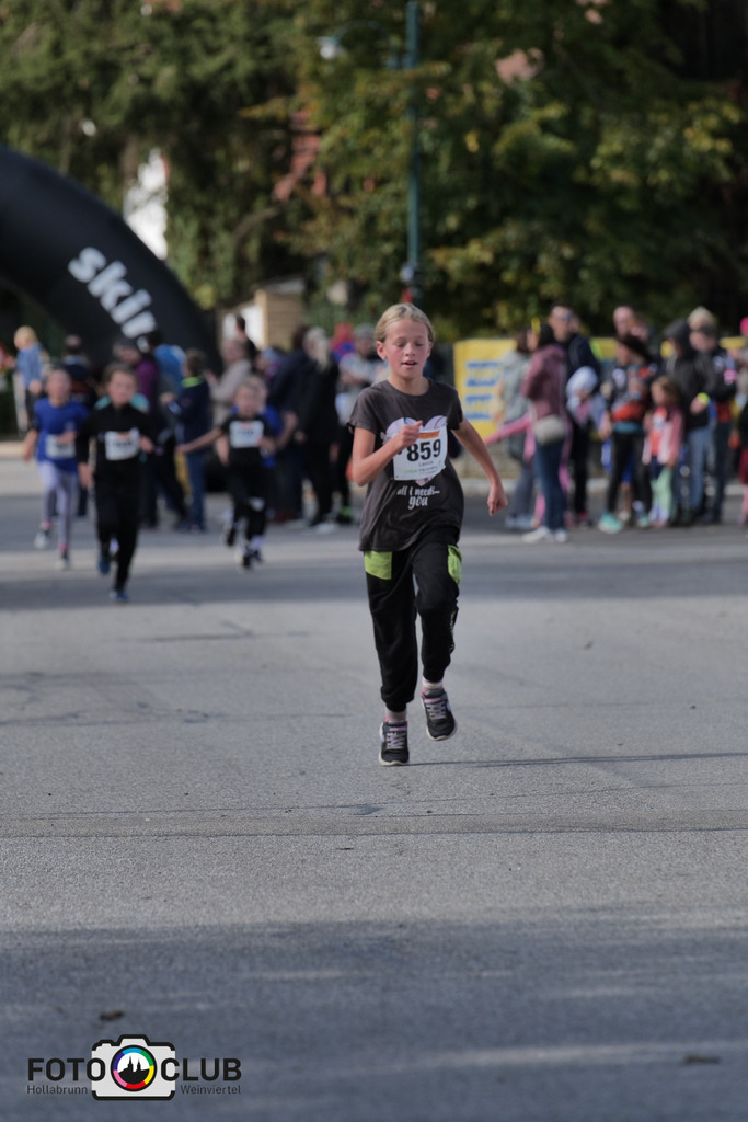 D (446) | Foto Buchgraber