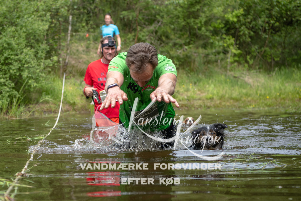 1050DKK993802 | kk-dogfotos