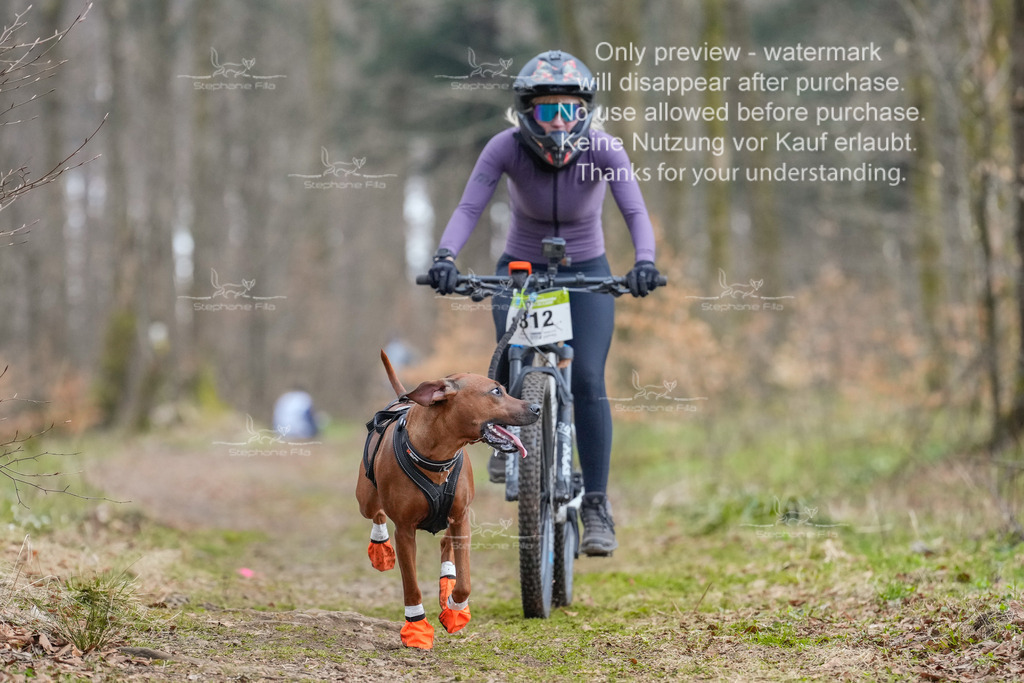 BikekurzSa-128 | stephaniefillaphotographie - Realisiert mit Pictrs.com