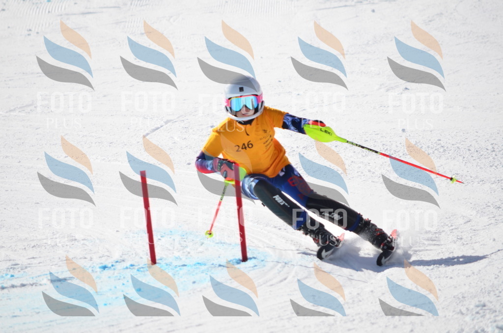 C8414 | holidayphoto