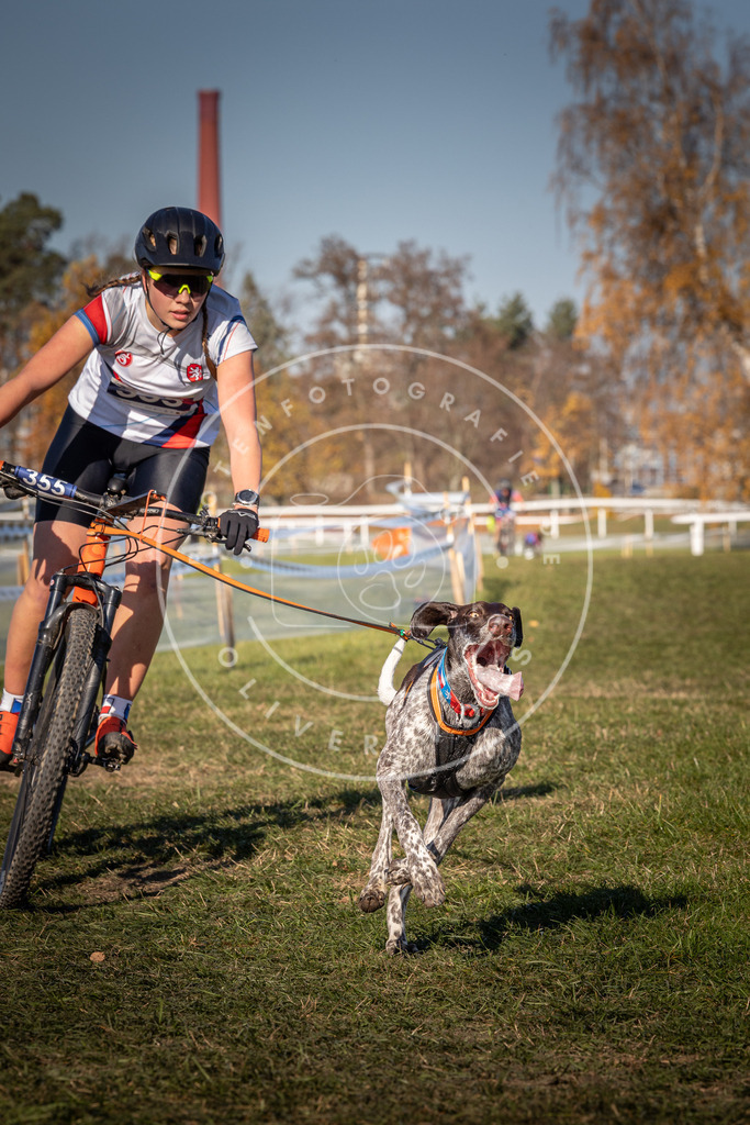 CaniXpix_0L8A6115 | Hundefotografie, Tierfotograf, Pfotenfotografie, Fotoshooting Hund, Hunde Portrait, Hundesport, Hundeportraits, Heideshooting, Hunde, Sportfotograf, Hundefotograf, Turnierhundsport, THS,  - Realisiert mit Pictrs.com
