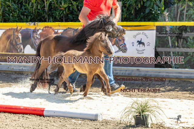 _MG_0689 | mandyhollmannphotographie