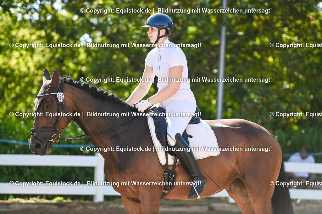 20230715_06_Dressurpferdeprfg. Kl.A_0293 | equistock