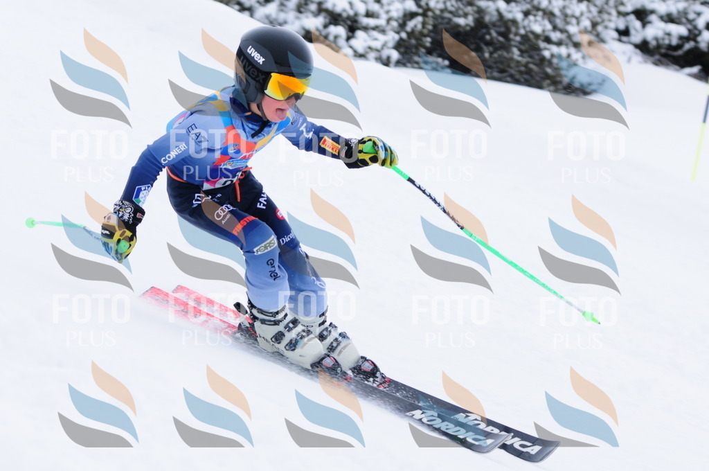 C2898 | holidayphoto