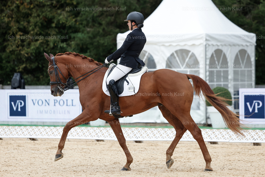 3-111-Dressur M_-StoibPH-2315 | working equitationturnier fotograf videograf stoibphotography marixx film working equitation deutschland reitsport turnierfotografie eventfotografie equestrian events