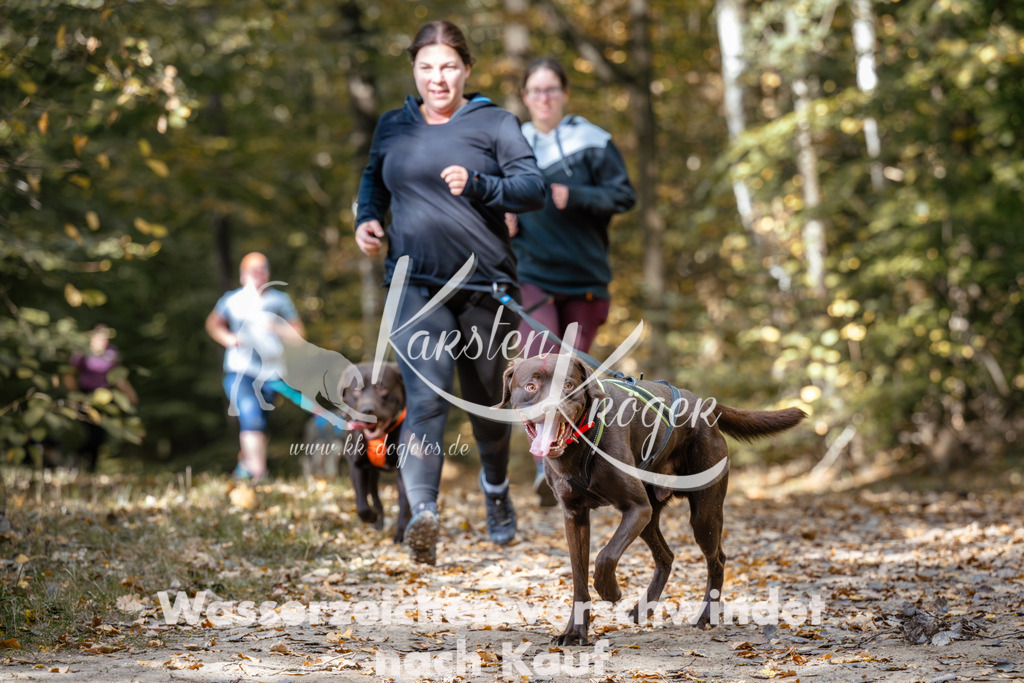 1251_ZZ96395 | kk-dogfotos
