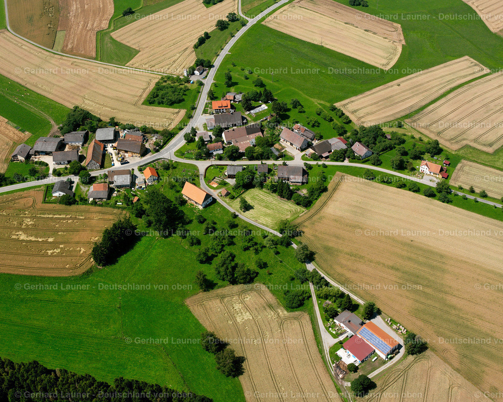 2536083 | Riedetsweiler, Wald