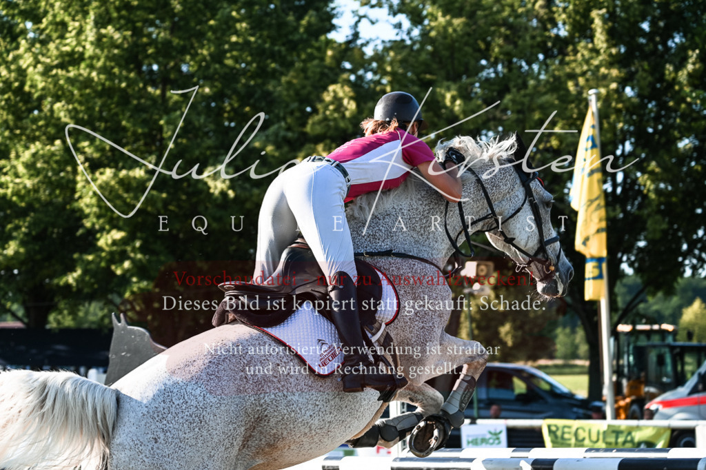 DSC_3020 | Pferde- und Turnierfotografie in Westsachsen. Pferdeportraits, Auftragszeichnungen und intuitive Kunst.