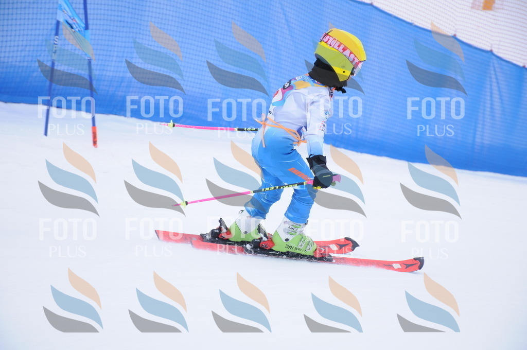 DSC_7733 | holidayphoto