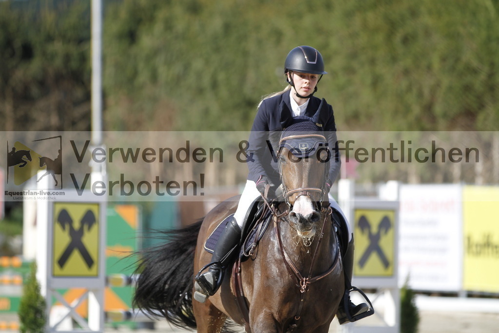 _MG_8156 | equestrian-live-com