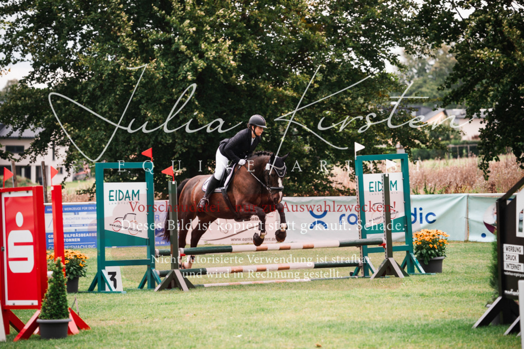 DSC_5830 | Pferde- und Turnierfotografie in Westsachsen. Pferdeportraits, Auftragszeichnungen und intuitive Kunst.