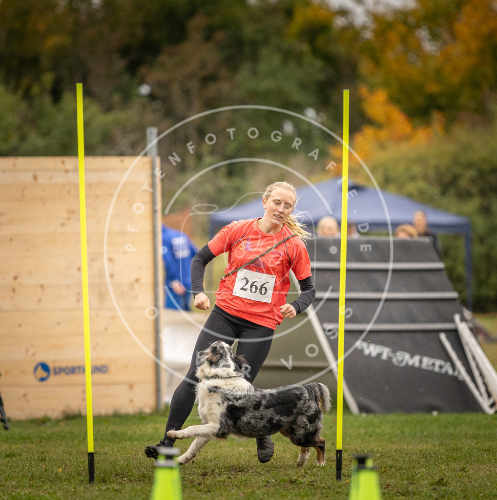 Pfotenfotografie_DV3A7508 | Hundefotografie, Tierfotograf, Pfotenfotografie, Fotoshooting Hund, Hunde Portrait, Hundesport, Hundeportraits, Heideshooting, Hunde, Sportfotograf, Hundefotograf, Turnierhundsport, THS,  - Realisiert mit Pictrs.com