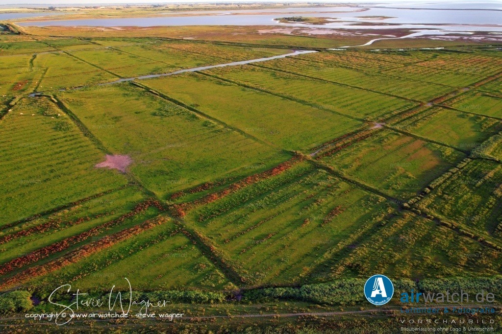HattstedterKoog  & BeltringharderKoog | Entdecken Sie atemberaubende Luftbilder und Fotografien auf airwatch.de - Tauchen Sie ein in eine Welt voller faszinierender Aufnahmen aus der Vogelperspektive.