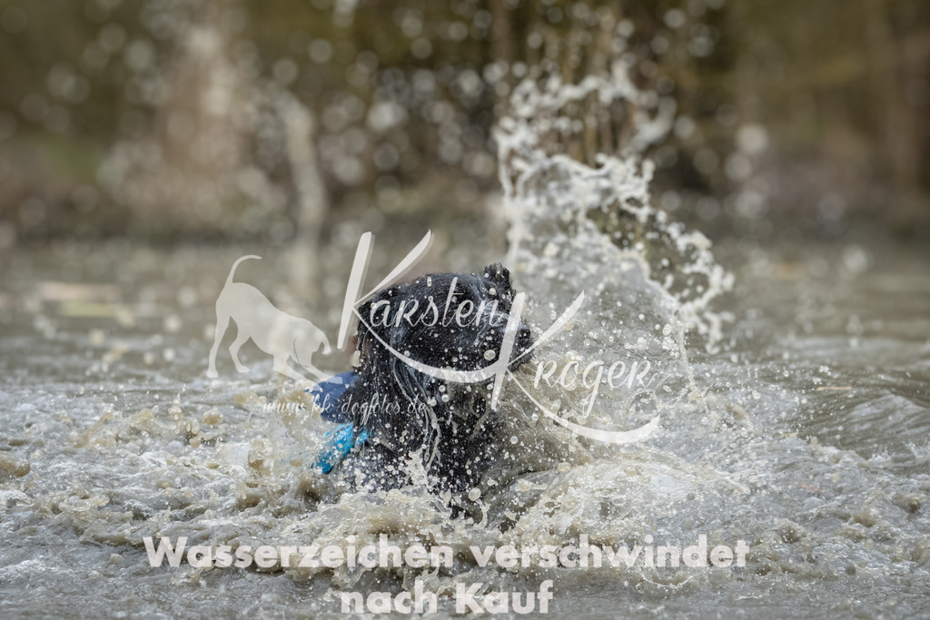 1105_ZZ95728 | kk-dogfotos