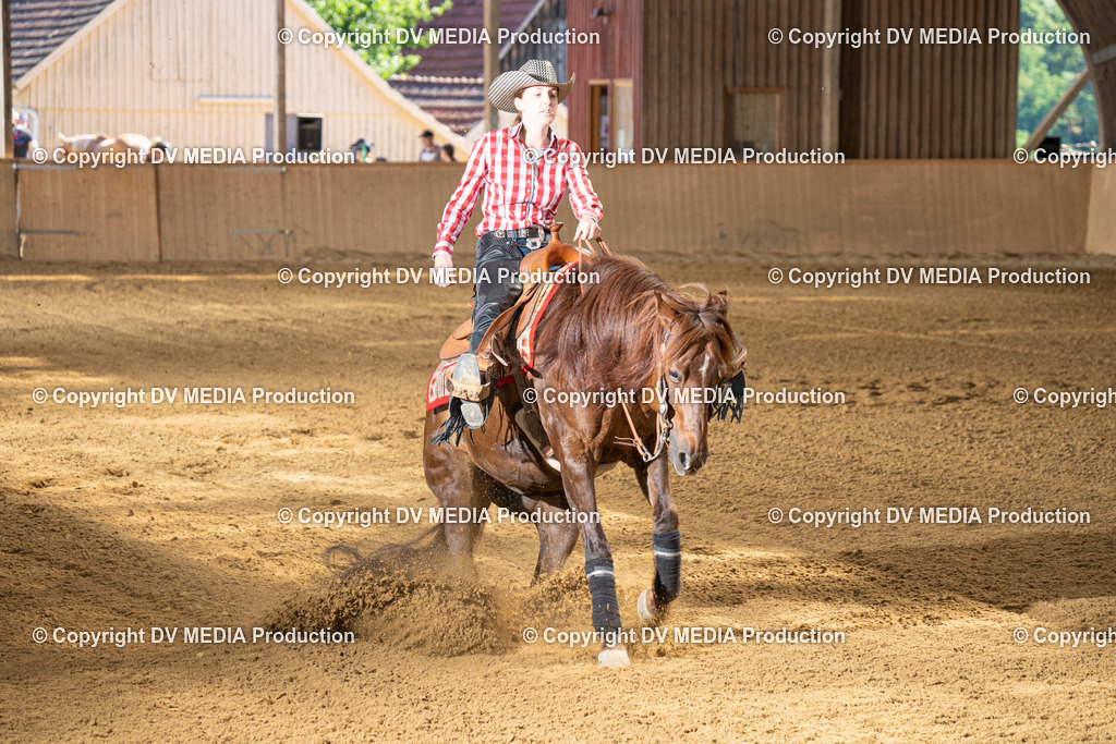 DSC00112 | dv-media-shop - Realisiert mit Pictrs.com