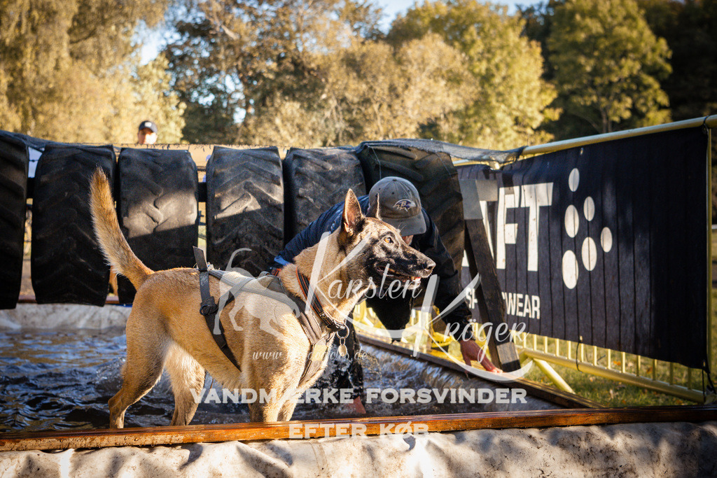 0921_ZZ90658 | kk-dogfotos