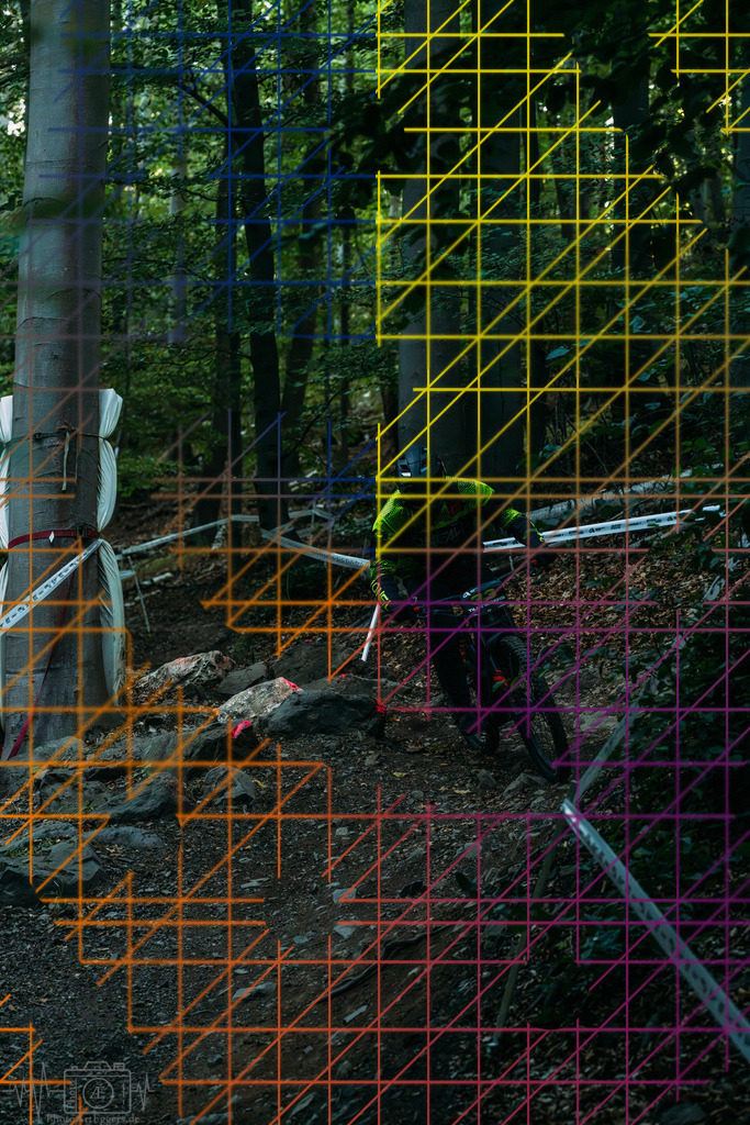PAE-1352 | Einzigartige Fotokunst für dein Zuhause: Entdecke hochwertige Wandbilder, edle Prints und emotionale Motive von Wildlife, Natur und Landschaften - Realisiert mit Pictrs.com