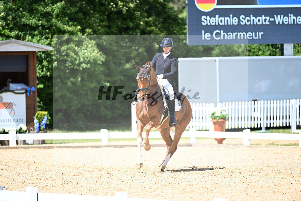 Schatz-Weihermueller_Le Charmeur_11252375 | hf-fotografie - Realizzato con Pictrs.com