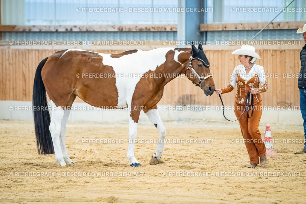 DSC09723 | Pferdegrafie