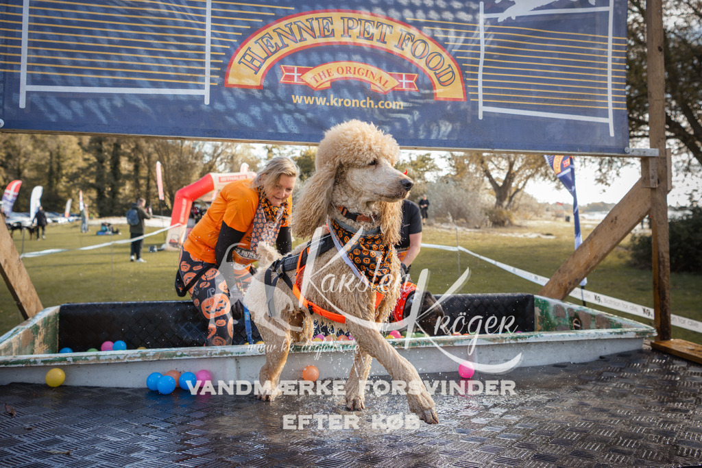 1307_ZZ99187-2 | kk-dogfotos