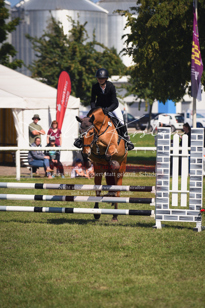 DSC_9240 | Pferde- und Turnierfotografie in Westsachsen. Pferdeportraits, Auftragszeichnungen und intuitive Kunst.