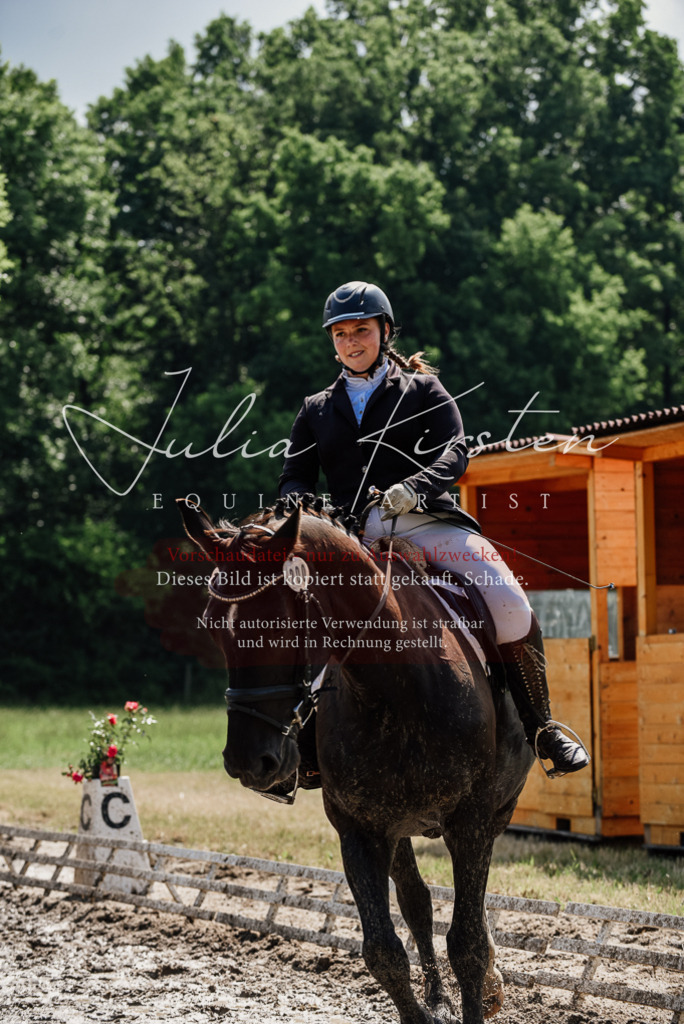 DSC_0172 | Pferde- und Turnierfotografie in Westsachsen. Pferdeportraits, Auftragszeichnungen und intuitive Kunst.