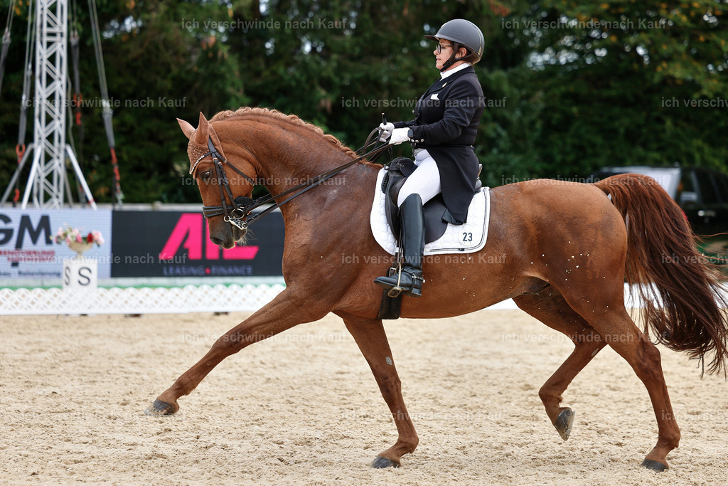 11-023-Dressur S___-StoibPH-1150 | working equitationturnier fotograf videograf stoibphotography marixx film working equitation deutschland reitsport turnierfotografie eventfotografie equestrian events