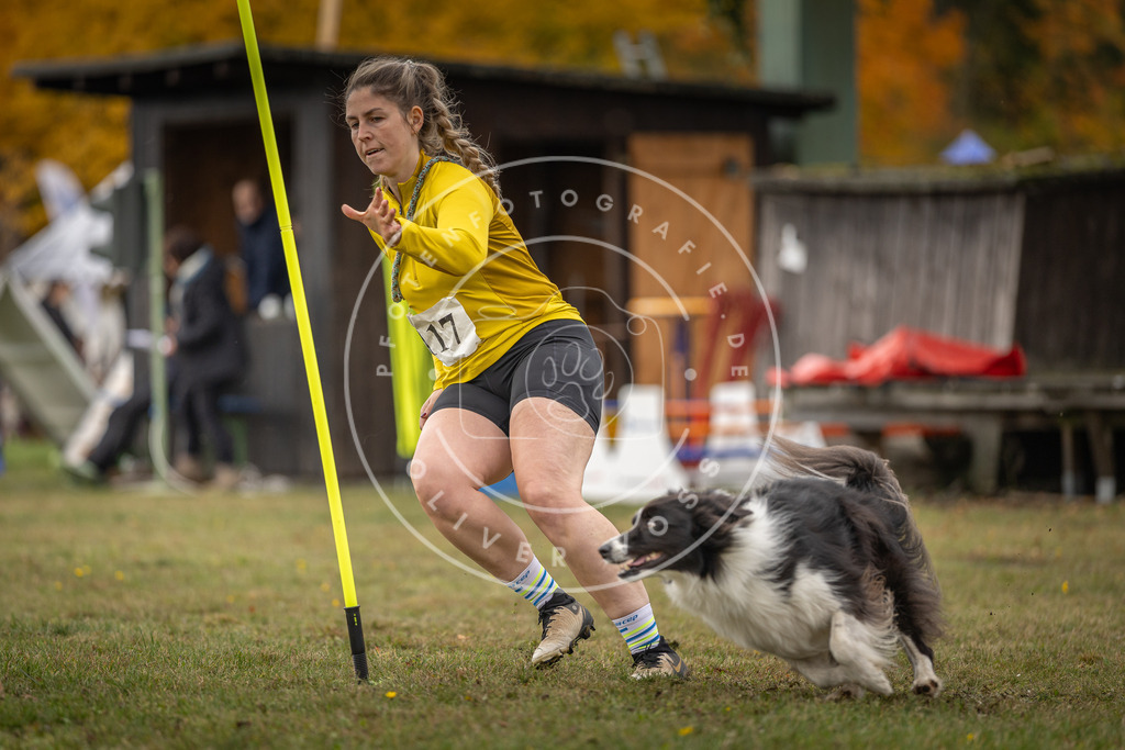 Pfotenfotografie_DV3A6695 | Hundefotografie, Tierfotograf, Pfotenfotografie, Fotoshooting Hund, Hunde Portrait, Hundesport, Hundeportraits, Heideshooting, Hunde, Sportfotograf, Hundefotograf, Turnierhundsport, THS,  - Realisiert mit Pictrs.com