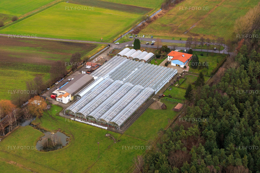 Luftbild: Kakteenland Steinfeld in Steinfeld im Bundesland Rheinland-Pfalz in Deutschland. Foto: IMG_085877.jpg vom 08.01.2016 durch Werner Riehm/FLY-FOTO.deKakteenland Steinfeld - In der sonnigen Pfalz, an der südlichen Weinstraße