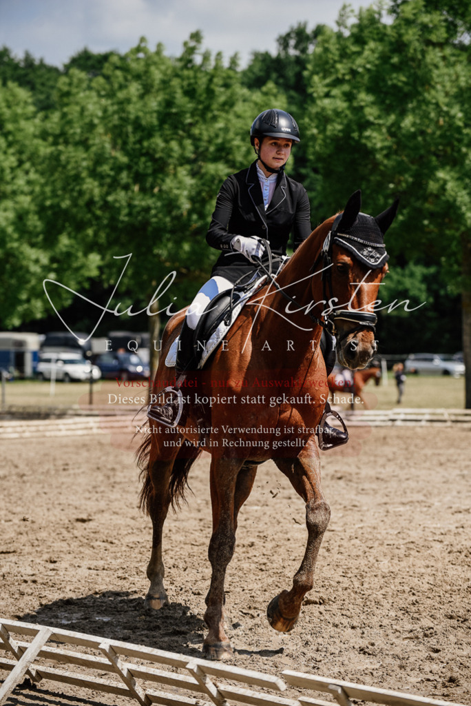 DSC_1391 | Pferde- und Turnierfotografie in Westsachsen. Pferdeportraits, Auftragszeichnungen und intuitive Kunst.
