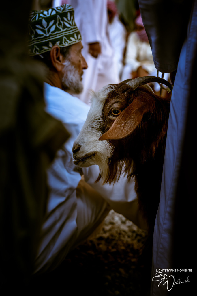 Nizwa Souk, Oman | Herzlich willkommen auf meiner Seite! Ich bin Elke Wallnisch, Deine Fotografin für lichtstarke Momente. Der Name steht für alles, was mich mit der Fotografie verbindet: Das Licht und seine machtvolle Wirkung auf eine Situation oder unsere Stimmung - Realisiert mit Pictrs.com