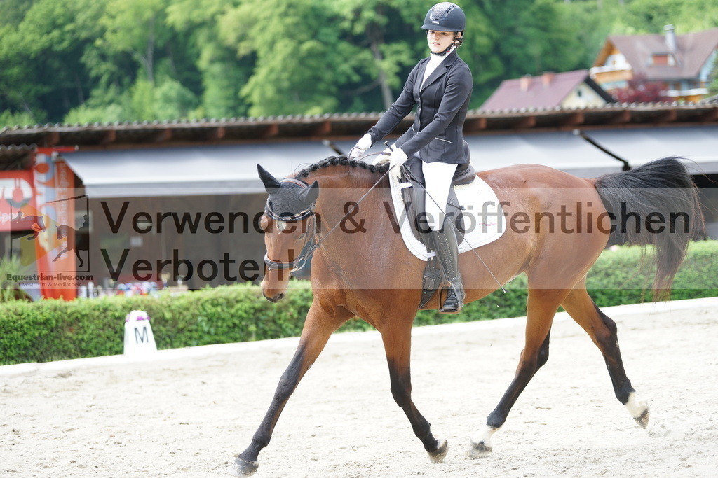 DSC05459 | equestrian-live-com