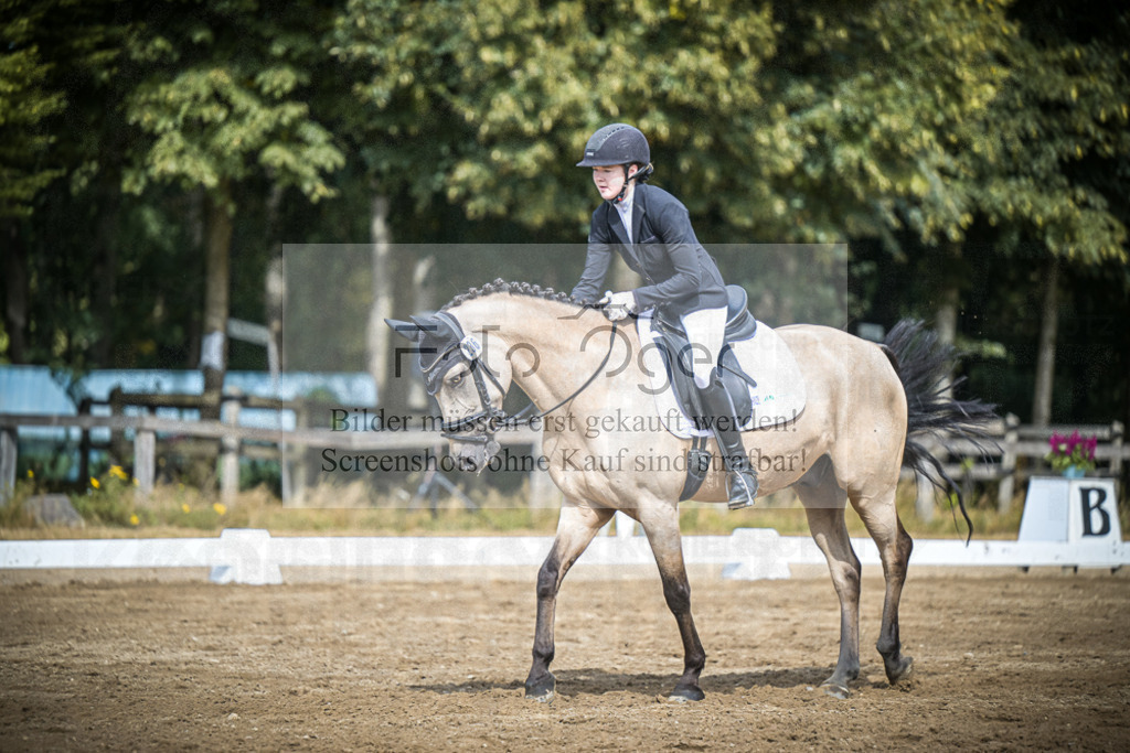 DOS_0804 | Entdecke hochwertige Reitturnierfotos von Foto Oger. Professionell, emotional und authentisch – jetzt Lieblingsmomente im Shop bestellen.Deutschlandweite Turnierfotografie. - Realisiert mit Pictrs.com