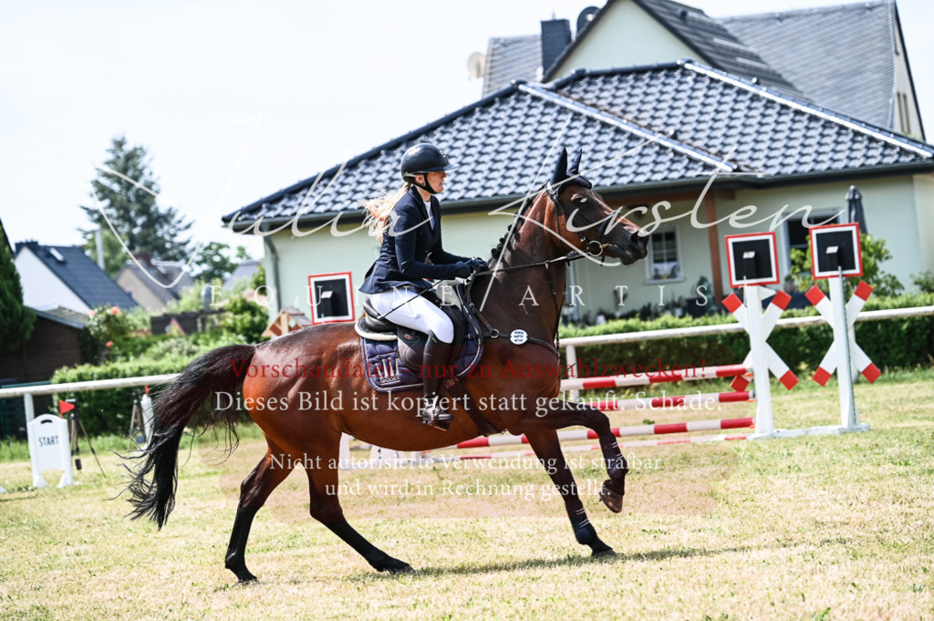 DSC_9117 | Pferde- und Turnierfotografie in Westsachsen. Pferdeportraits, Auftragszeichnungen und intuitive Kunst.