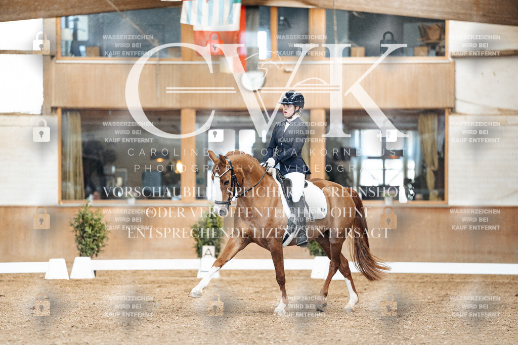 CK900743 | Turnierfotografie Pferdefotografie Trier Rheinland-Pfalz Pferdesport Reitsport Tierfotografie Sportfotografie Pferdevideo Pferdevideografie Equestrianvideography equestrianphotography  - Realisiert mit Pictrs.com