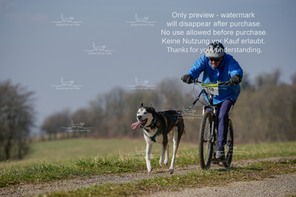 Scooter_Lang-53 | stephaniefillaphotographie - Realisiert mit Pictrs.com