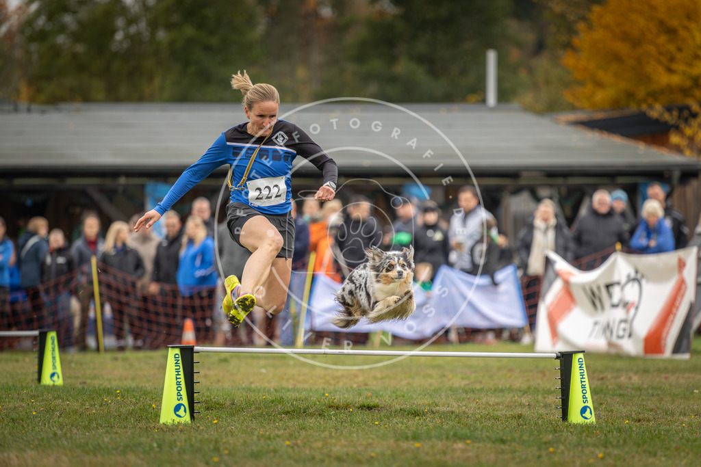 Pfotenfotografie_DV3A3085 | Hundefotografie, Tierfotograf, Pfotenfotografie, Fotoshooting Hund, Hunde Portrait, Hundesport, Hundeportraits, Heideshooting, Hunde, Sportfotograf, Hundefotograf, Turnierhundsport, THS,  - Realisiert mit Pictrs.com