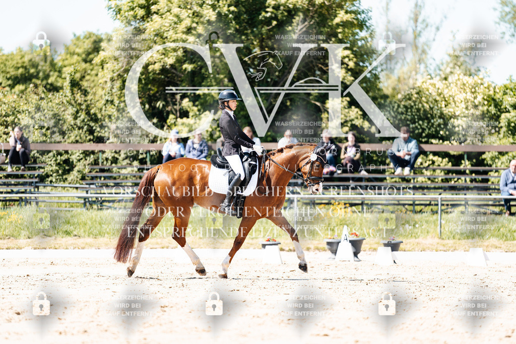 CK905371 | Turnierfotografie Pferdefotografie Trier Rheinland-Pfalz Pferdesport Reitsport Tierfotografie Sportfotografie Pferdevideo Pferdevideografie Equestrianvideography equestrianphotography  - Realisiert mit Pictrs.com