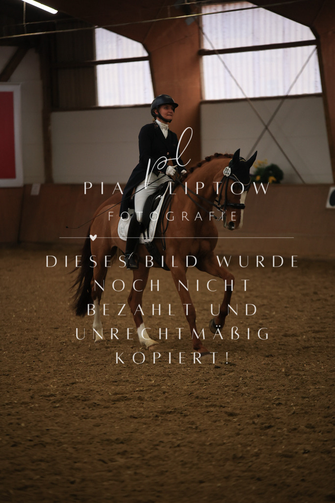 IMGT6130 | pl-fotografie