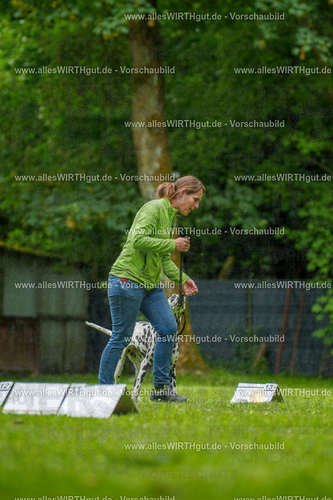 @allesWIRTHgut_Tierfotografie - www.allesWIRTHgut.de - 135227-7R500112 | Professionelle Tierfotografie in Mönchengladbach von Daniel Wirth (allesWIRTHgut). Liebevolle & natürliche Bilder von Hunden & Katzen für unvergessliche Erinnerungen.