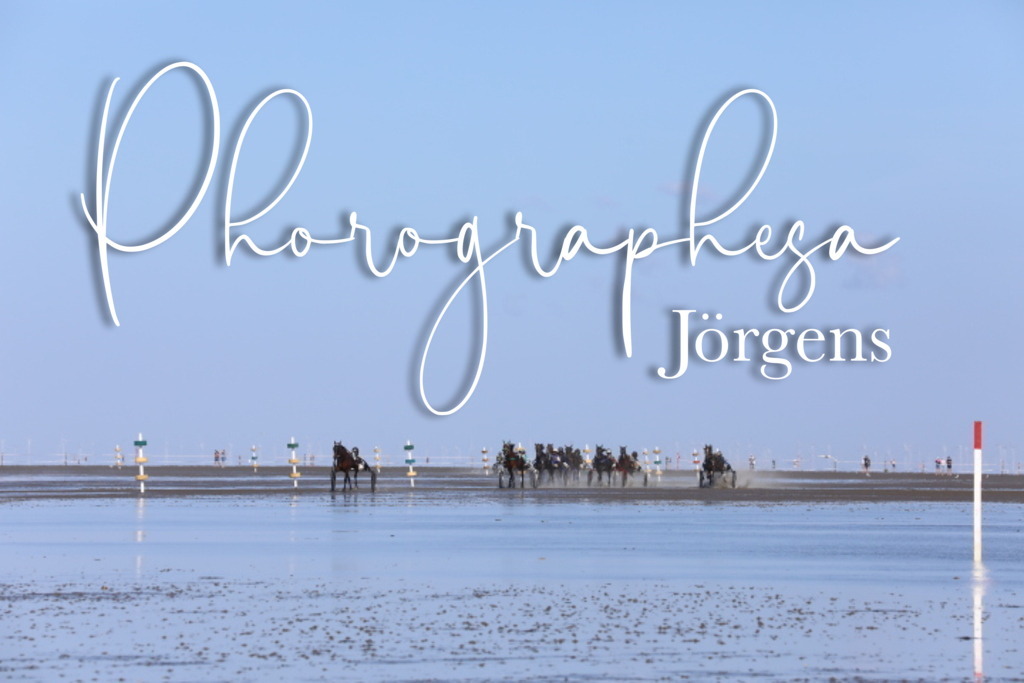 IMG_0274 | photographesa-joergens - Realisiert mit Pictrs.com