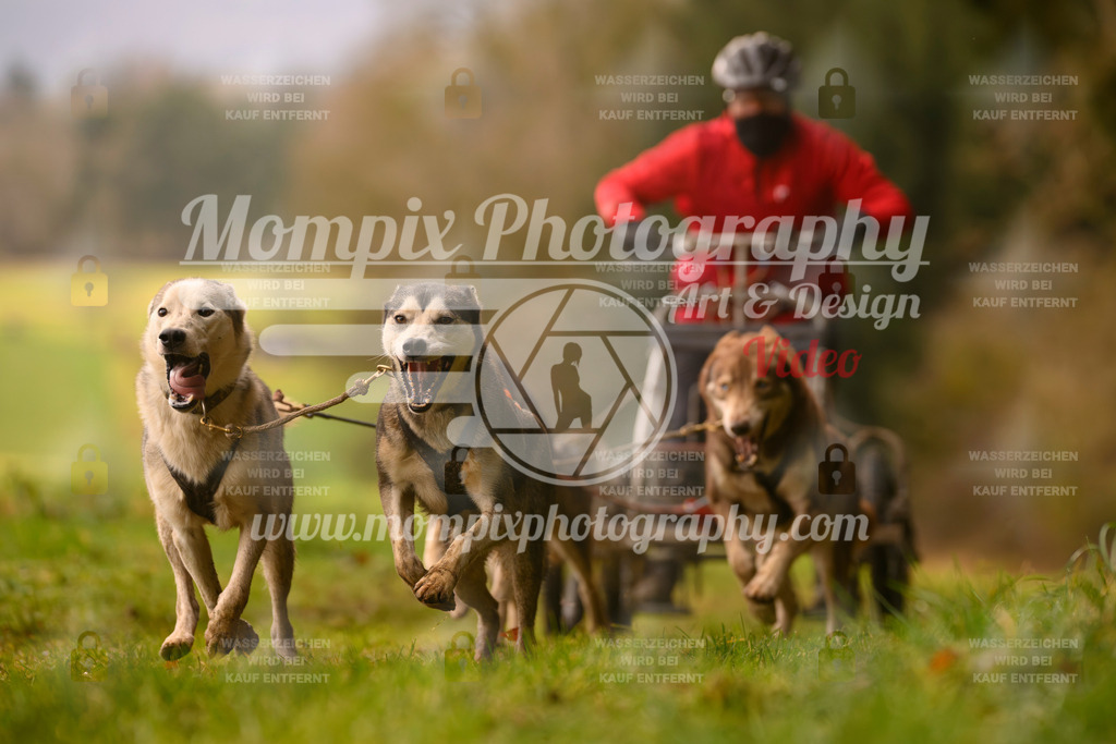 MompixPhotography_2SSTSSBW_2025_SO_Kart-14 | PayLife
