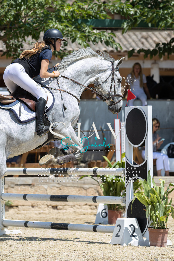 IMG_6432 | s-jay-photography - Realisiert mit Pictrs.com