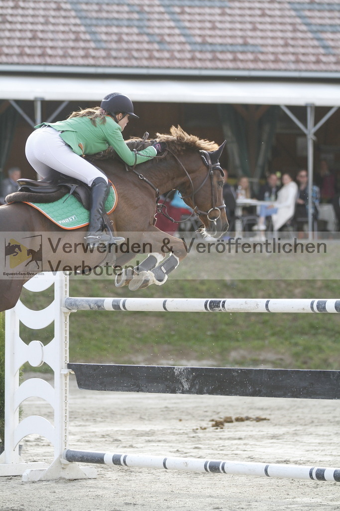 _MG_1648 | equestrian-live-com