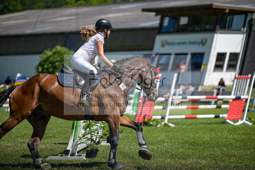 Reitturnier Voxtrup | Entdecke hochwertige Reitturnierfotos von Foto Oger. Professionell, emotional und authentisch – jetzt Lieblingsmomente im Shop bestellen.Deutschlandweite Turnierfotografie. - Realisiert mit Pictrs.com