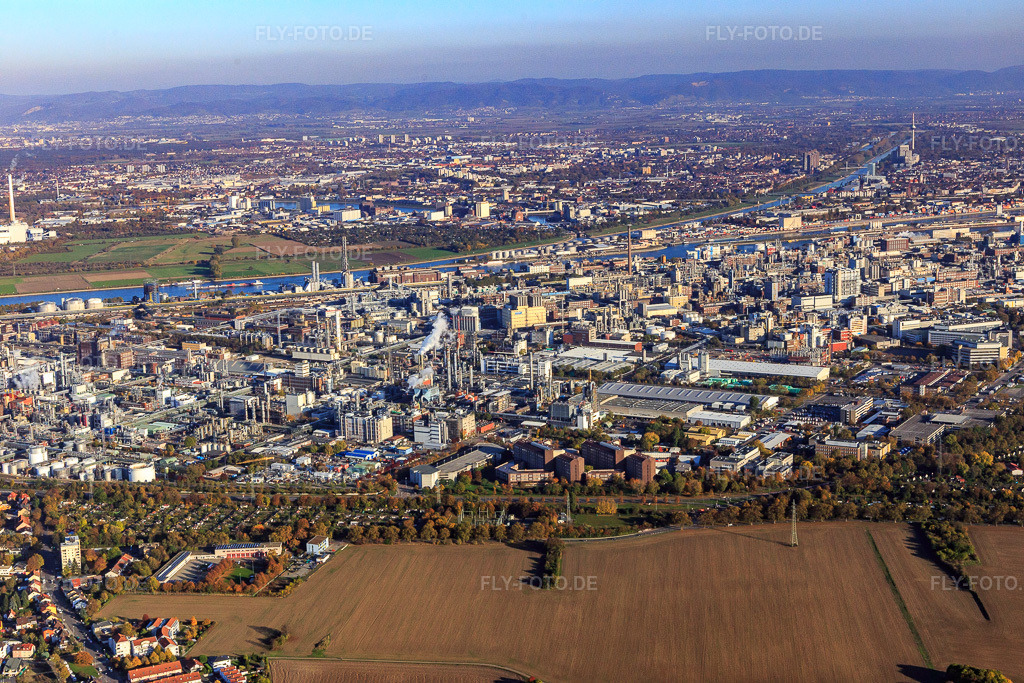 Luftbild: Ortsansicht von Westen im Ortsteil BASF in Ludwigshafen im Bundesland Rheinland-Pfalz in Deutschland. Foto: IMG_095540.jpg vom 30.10.2016 durch Werner Riehm/FLY-FOTO.de